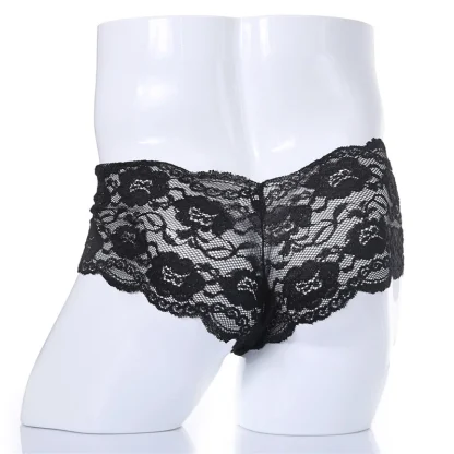 Sheer Lace Men's Panties - Image 2