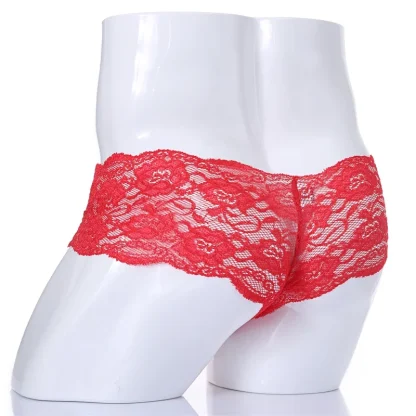 Sheer Lace Men's Panties - Image 3