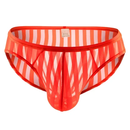 Striped See-through Mesh Briefs