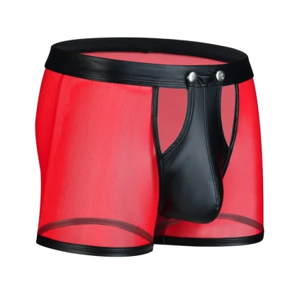 See-through Mesh Boxer Brief
