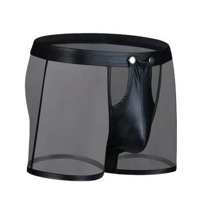 See-through Mesh Boxer Brief - Image 5