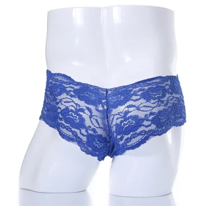 Sexy Solid Sheer Lace Briefs - Image 2