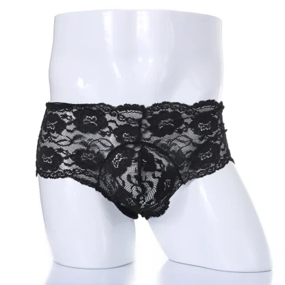 Sexy Solid Sheer Lace Briefs