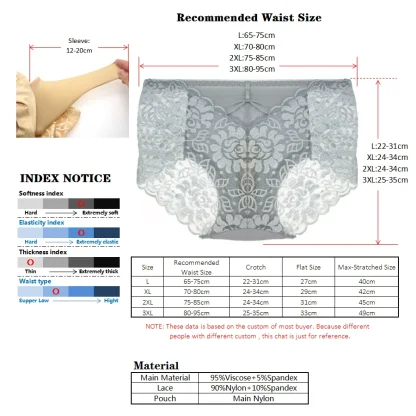 Sexy Sheer Lace Briefs - Image 7