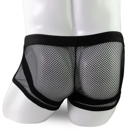 Mesh Solid Sexy Boxer Brief - Image 3