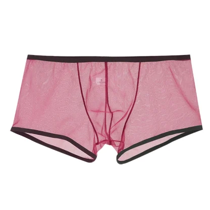 See-through Boxer Brief - Image 3