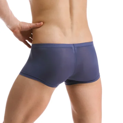 Transparent Lightweight Trunks - Image 5