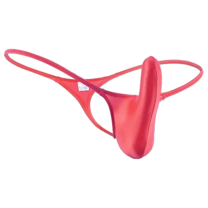 Glossy G-string Elastic Panties