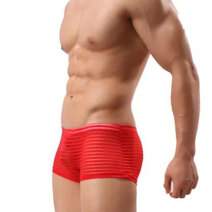See-through Striped Boxer Briefs - Image 5