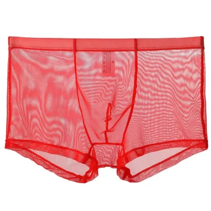 Ultra-thin Transparent Boxer Brief - Image 2