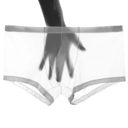 Transparent Lightweight Trunks - Image 6
