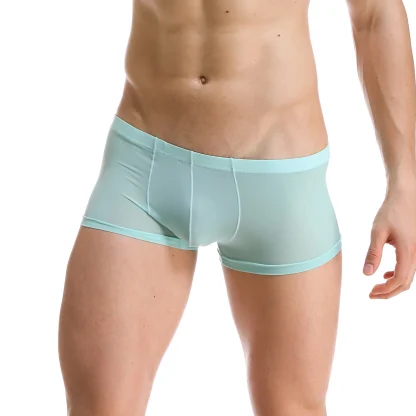 Transparent Lightweight Trunks - Image 3