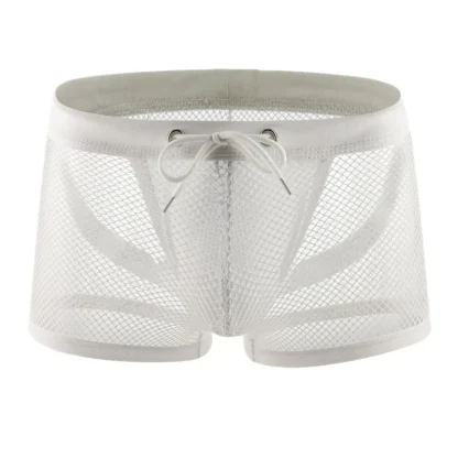 Mesh Solid Sexy Boxer Brief - Image 6