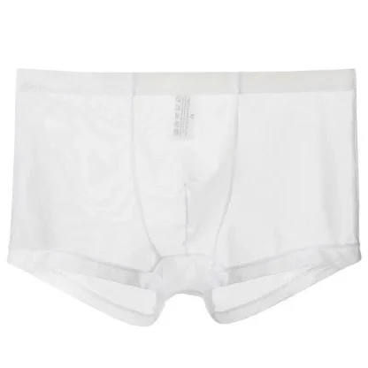 Transparent Soft Boxer Brief - Image 3