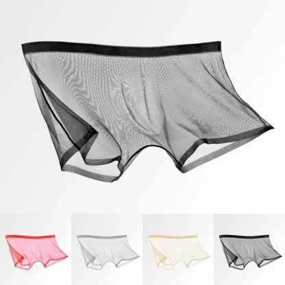 Sexy Mesh Boxer Brief - Image 7