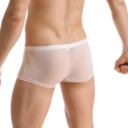 Transparent Lightweight Trunks - Image 4
