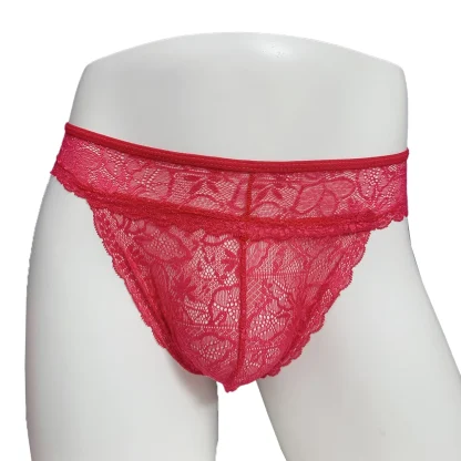 Sexy Sheer Lace Bikini-cut Panties - Image 3