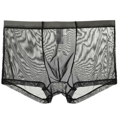 Transparent Soft Boxer Brief - Image 4