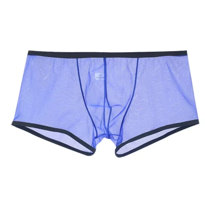 See-through Boxer Brief - Image 5