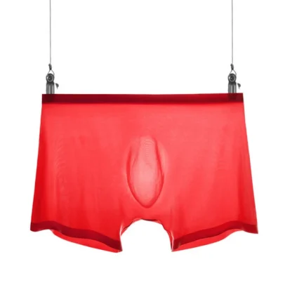 Sexy Mesh Boxer Brief