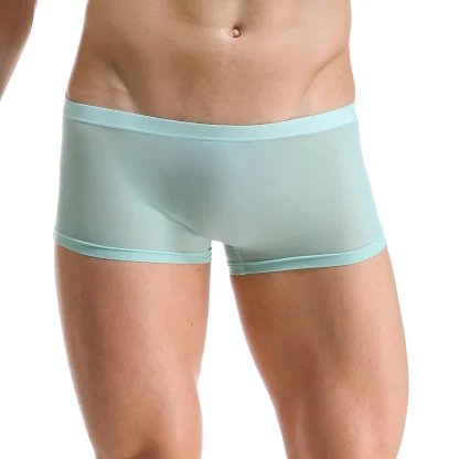 Transparent Lightweight Trunks