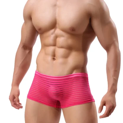 See-through Striped Boxer Briefs - Image 4