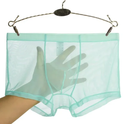 Ultra-thin Transparent Boxer Brief - Image 5