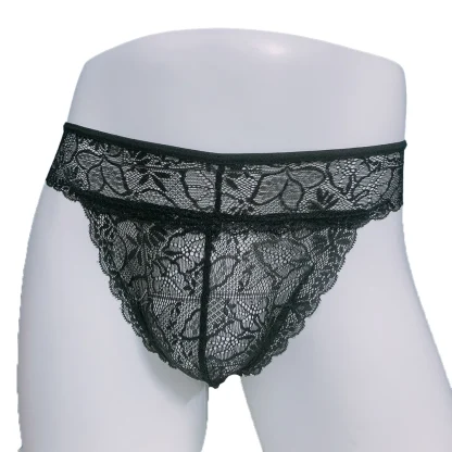 Sexy Sheer Lace Bikini-cut Panties - Image 5