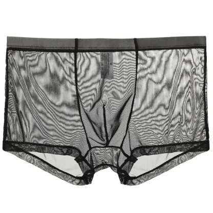 Ultra-thin Transparent Boxer Brief - Image 3