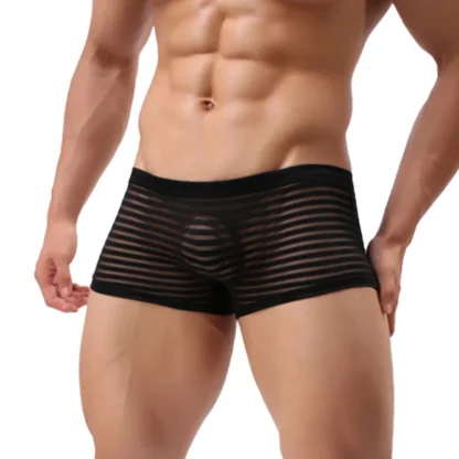 See-through Striped Boxer Briefs