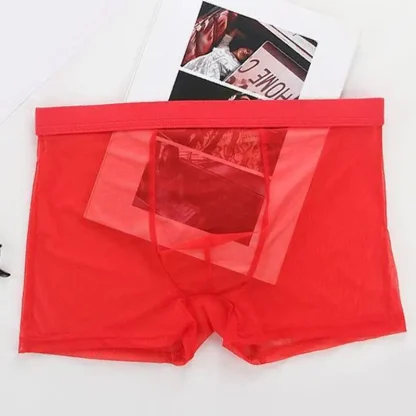 Transparent Soft Boxer Brief - Image 6