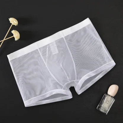 Ultra-thin Transparent Boxer Brief
