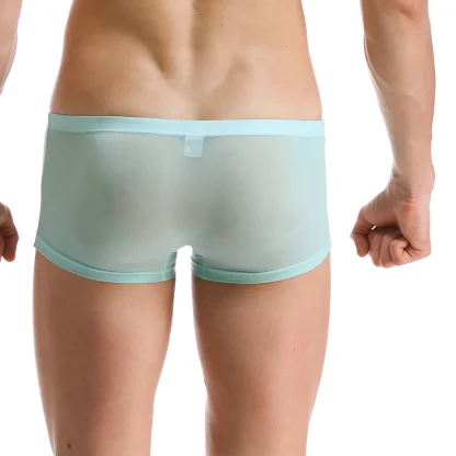 Transparent Lightweight Trunks - Image 2