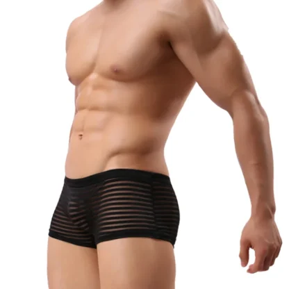 See-through Striped Boxer Briefs - Image 2