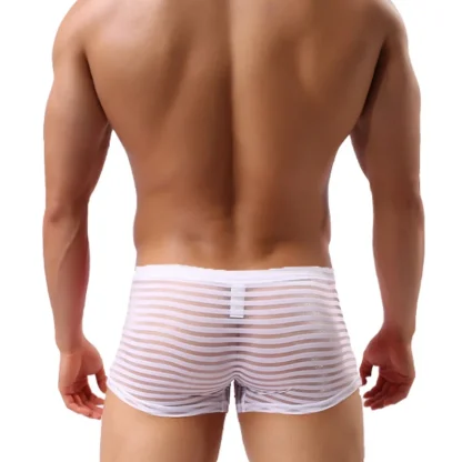 See-through Striped Boxer Briefs - Image 3