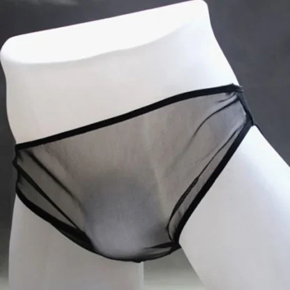 Sexy Ultra-thin Mesh Briefs