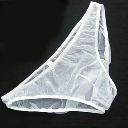 Sexy Ultra-thin Mesh Briefs - Image 5
