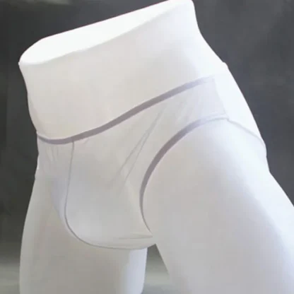 Sexy Ultra-thin Mesh Briefs - Image 2