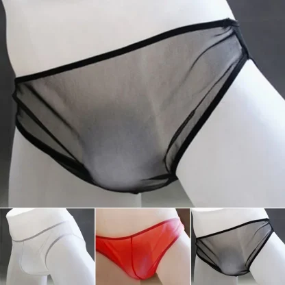 Sexy Ultra-thin Mesh Briefs - Image 7