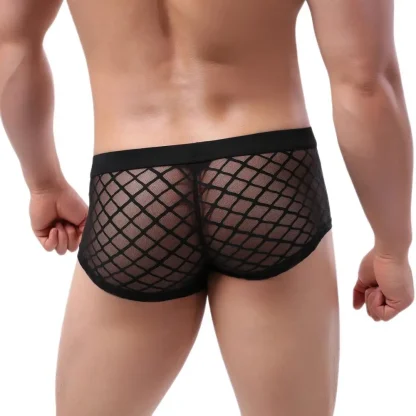 Transparent Breathable Boxer Brief - Image 5