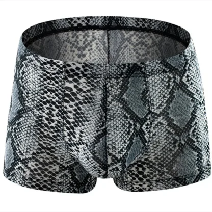 Leopard Print Boxer Briefs - Image 6