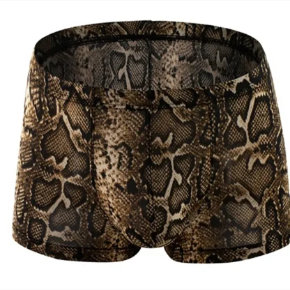 Leopard Print Boxer Briefs - Image 5