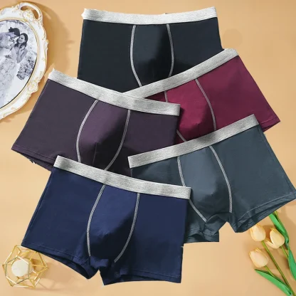 Breathable Soft Boxer Briefs - Image 2