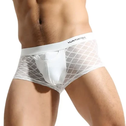 Transparent Breathable Boxer Brief - Image 3