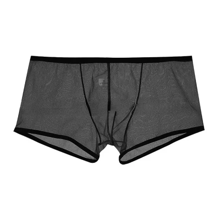 Seamless Ultra-thin Boxer Briefs - Image 3