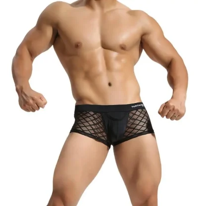 Transparent Breathable Boxer Brief - Image 6