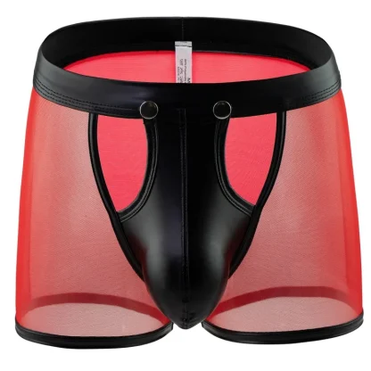 Transparent Boxer Briefs - Image 6