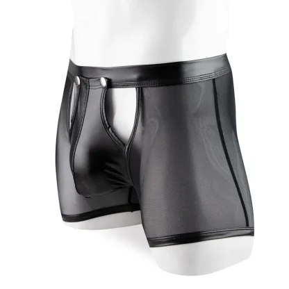 Transparent Boxer Briefs - Image 3