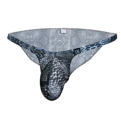 Leopard Print Sexy Panties - Image 4