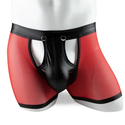 Transparent Boxer Briefs - Image 5